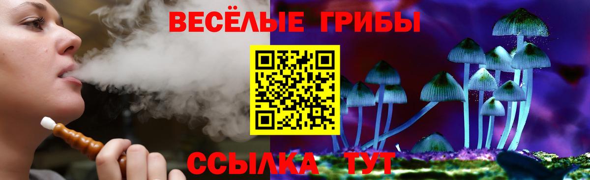 Галлюциногенные грибы Psilocybine cubensis  Вход с VPN  Лиски 